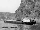 Elbflorenz (Bj.1958)