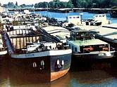 1984 in Magdeburg