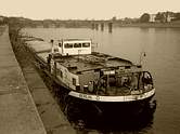 im März 1991 in Koblenz für die DBR