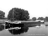 im Juni 1986 auf der Elbe