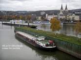 am 18.11.2006 am Moselufer in Koblenz