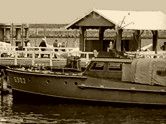 Grenzboot G 302