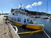 FGS Vaterland ex Aktivist gesunken