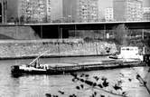 MS-Bad Freienwalde auf Bergfahrt in Magdeburg im DDR-Einsatz