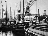 Eildampfer Knesebeck im Berliner Westhafen / ab 1950 der DSU und Binnenreederei eingegliedert